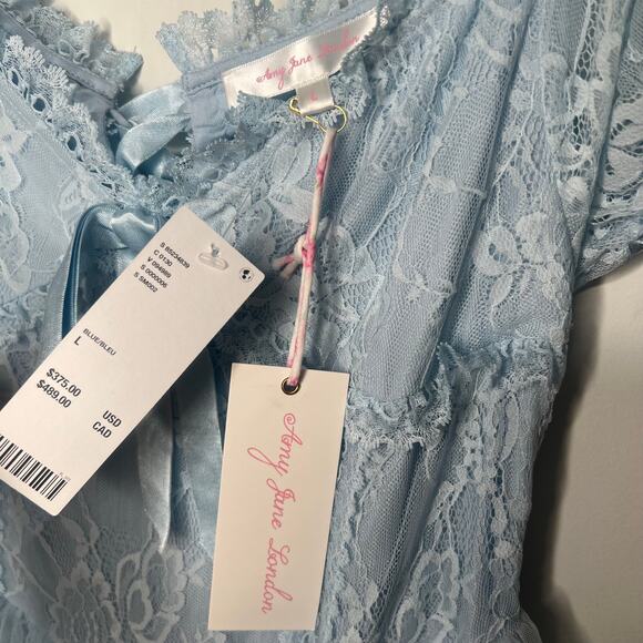 Amy Jane London Sofia Blue Lace Tulle Maxi Dress Size Large - Picture 5 of 11